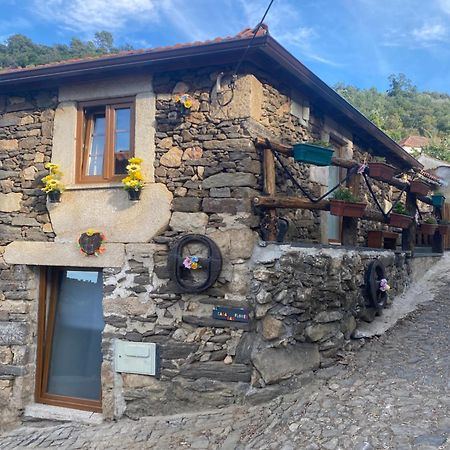Casa Das Flores Lamego Luaran gambar