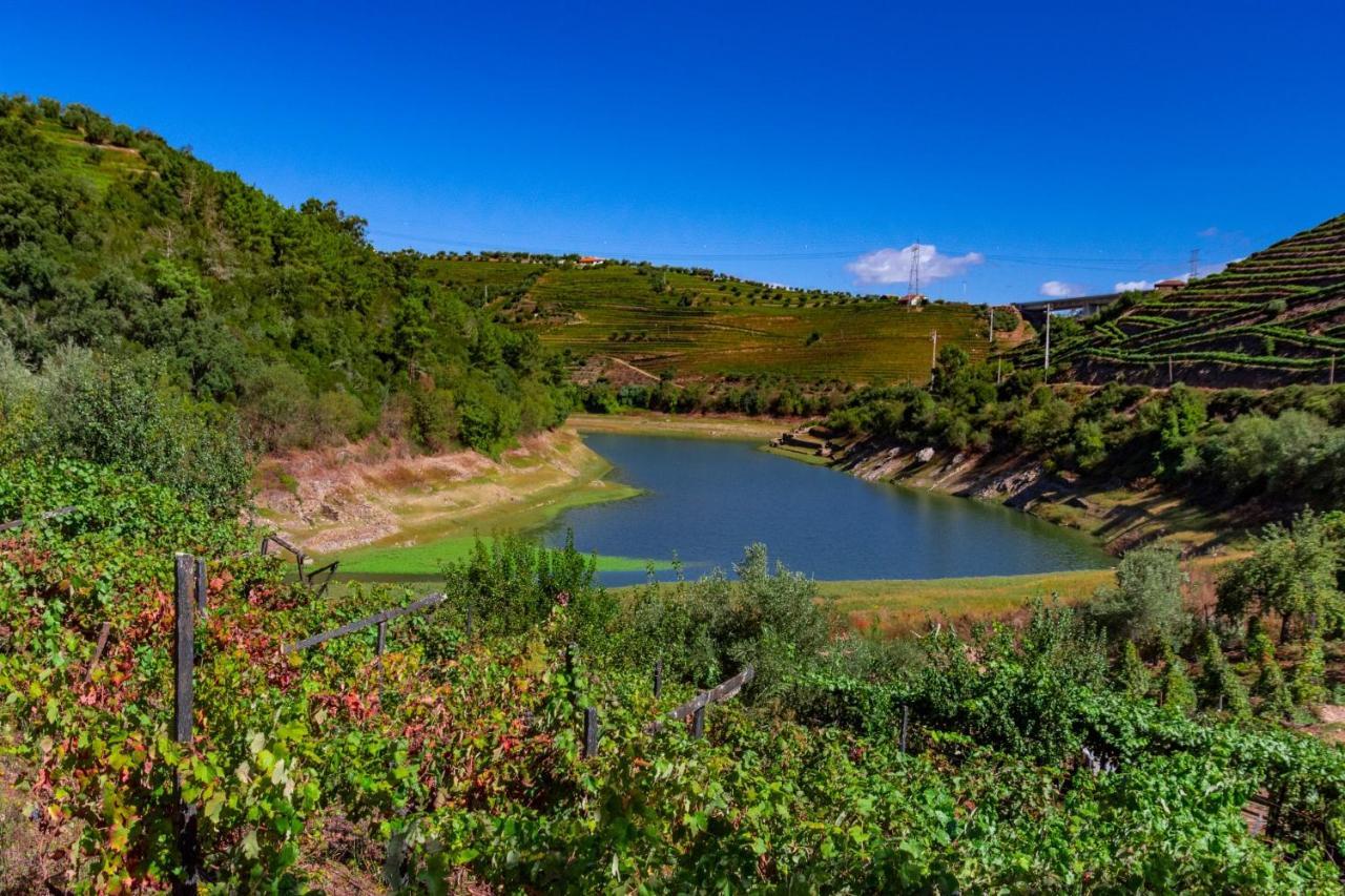 Casa Das Flores Lamego Luaran gambar