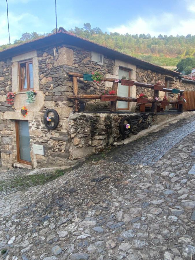Casa Das Flores Lamego Luaran gambar